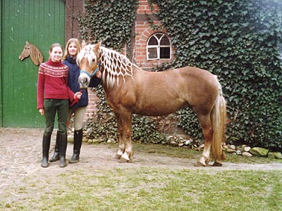 Mädchen beim Pferd